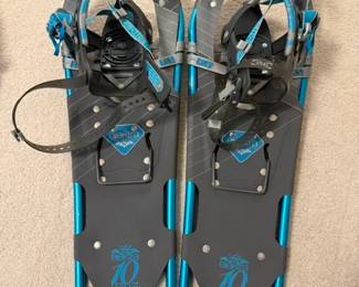 Snow Shoes - The Elektra Collection