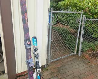 Adult and kid skis