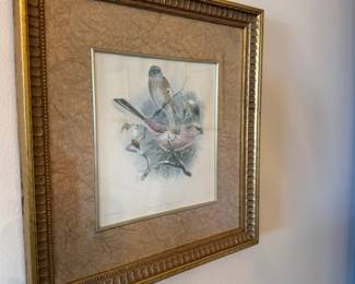 Beautiful bird prints