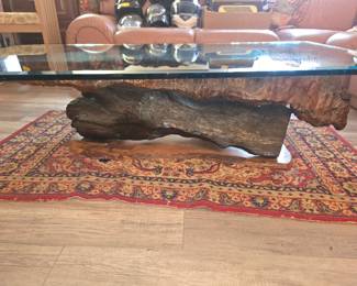 Sculptural Root Wood Coffee Table