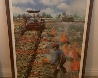 Collection of Vintage Louisiana Sugar Cane Festival Posters