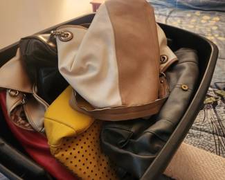 Collection of Purses