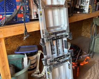 Scaffolding Ladder