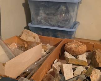 archeology collection NC finds