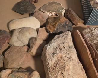 archeology collection NC finds