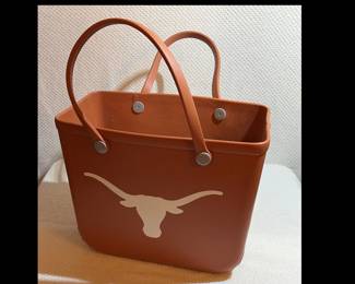Longhorns Bogg Bag