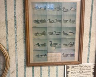 . . . duc print