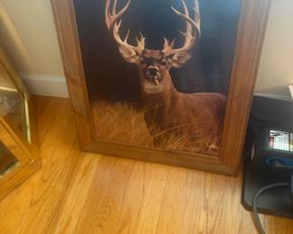 . . . buck photo