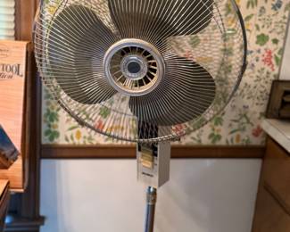 Fan