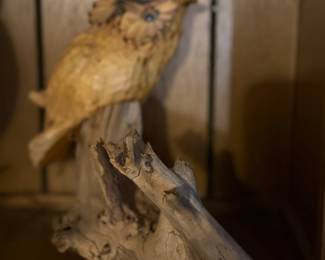 Driftwood, bird