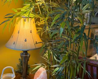Plants, lamp, salt lamp, cd's