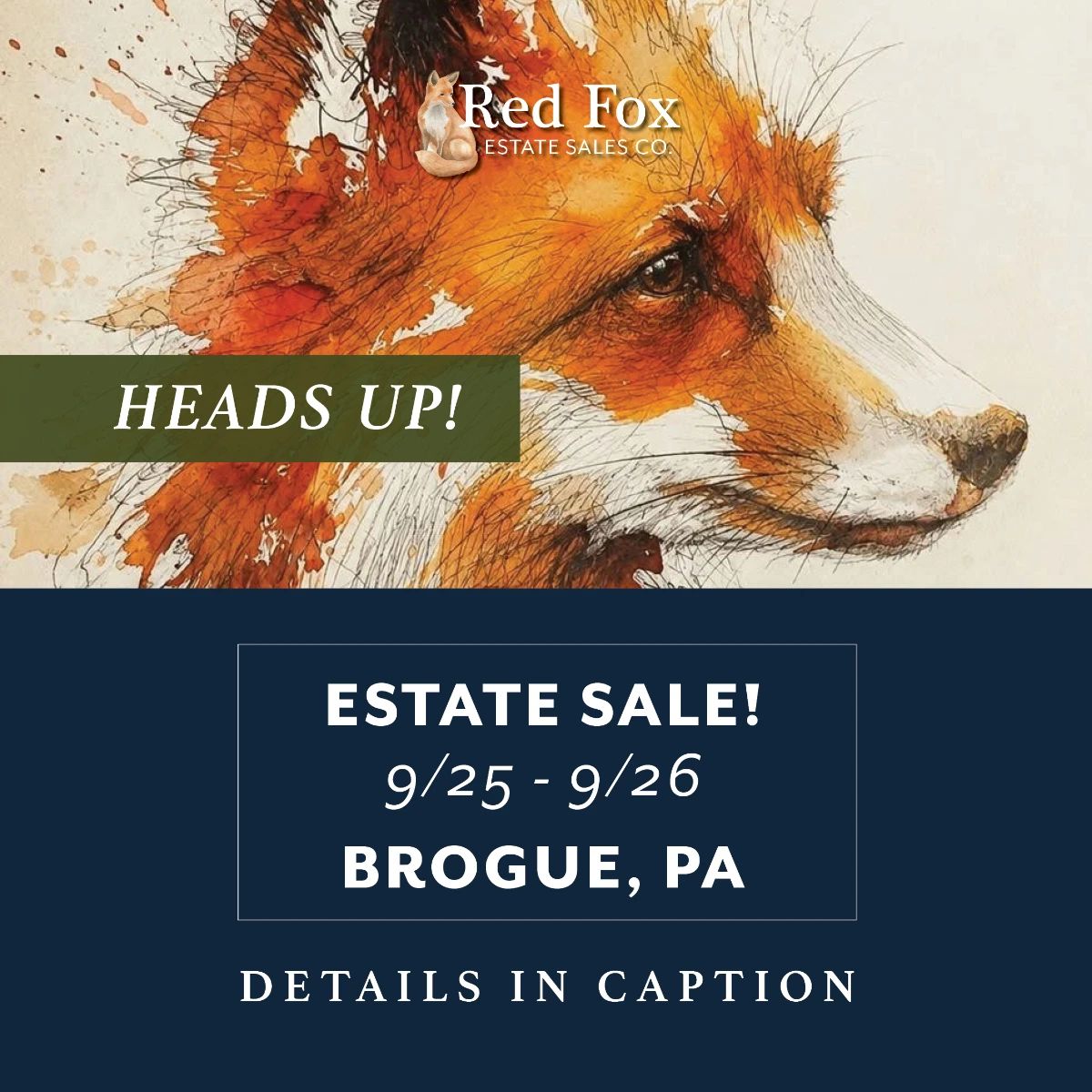 brogueheadsup