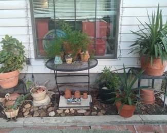Potted Garden Plants