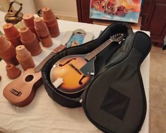 Mandolin in Case