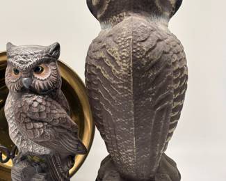 'Two-Faced' Owl