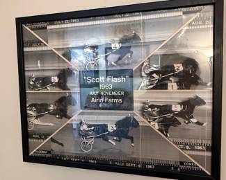 Scott Flash 1963 Harness Racing Collage