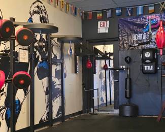 home boxing machine, speed ball stands and balls