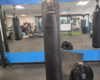 brand-name heavy bags in 6' and 8', plus specialty bags
