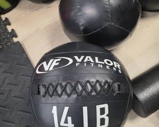 various styles and weights of medicine balls