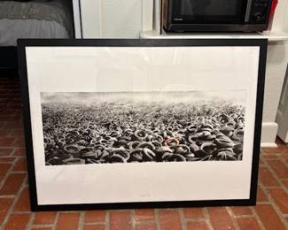 PEJAC "HEAVY SEA" 34/70 Contact with interest