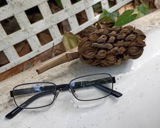 Magnolia Seed Pods approximately the size of a baseball.