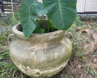 More planters
