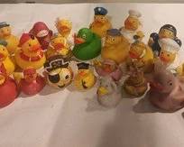 Lucky ducks