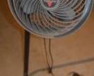 Vornado fan