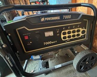 Powerhorse 7000 Portable gasoline generator