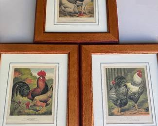 Lewis Wright’s The Illustrated Book of Poultry Set of 3