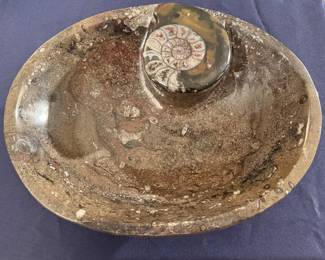 Authentic fossil bowl