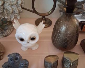owls