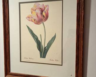 Framed tulip print