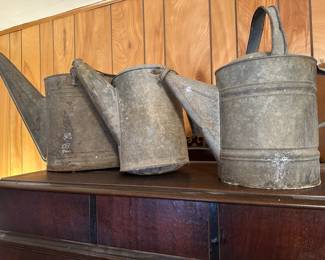 Old galvanized watering cans