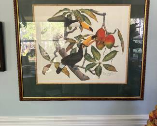 #40 - $90 - Toucans birds print signed Richard Evans Younger 1980- 231/950- 30x34