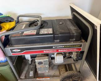 #91D - $250 - Generac Generator 5500 Watts 8250 starting Watts