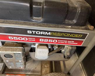 #91D - $250 - Generac Generator 5500 Watts 8250 starting Watts