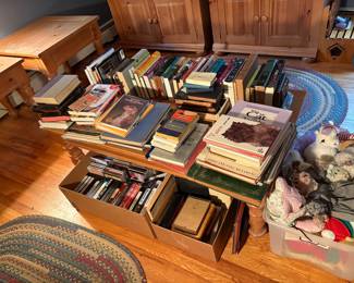 Collection of Books (More Books Upstairs!)