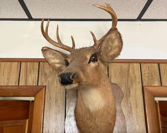 1971 trophy