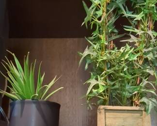 Artificial Succulent and Ivy Plant Set