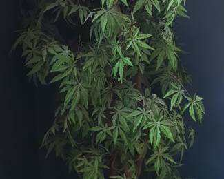 Artificial Japanese Maple Potted Tree