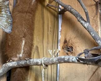 Taxidermy Mink on Branch