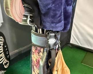 Miller Women's Golf Bag with Mixed Club Set