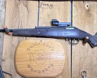 Beeman Air Rifle with Daisy Electronic Sight