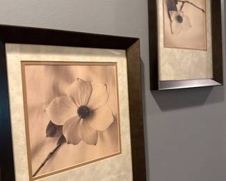 framed botanical art pieces