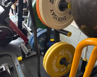 ym setup featuring weight plates and a rack