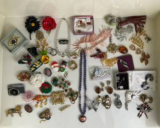 Fashion Jewelry Brooches, Pins, Necklaces and Accessories
