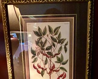 Framed botanical print with double matting and ornate gold frame