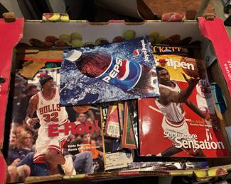 bulls magazines