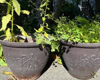254 outdoorplanterswithdecorativescrollw